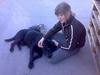 Labrador retriever Burre. aflivet d.27/04 09