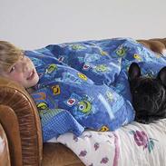 Fransk bulldog Eddie R.I.P 28.07.2015