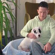 Amerikansk bulldog deegan