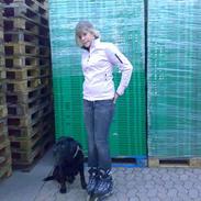 Labrador retriever Burre. aflivet d.27/04 09