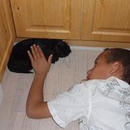 Blanding af racer freja