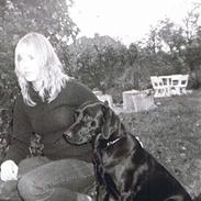 Labrador retriever Freja RIP