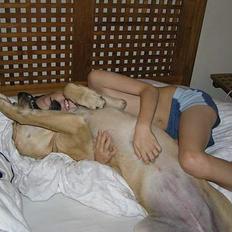 Blanding af racer Tilde