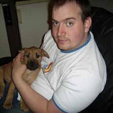 Amerikansk staffordshire terrier Kali