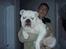 Engelsk bulldog anton sne - mig og farmand 