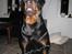 Rottweiler R.I.P Jessie pigen <3 - ja ja, jeg kan så men gi pote i luften... NYT DEN 11. Marts 2008