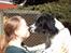 Engelsk springer spaniel Mickey - Syntes lige hun skulle have en tungeslasker:)