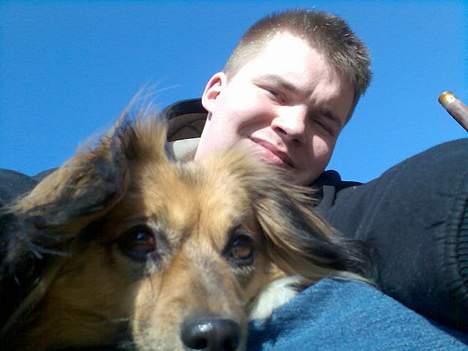 Blanding af racer Mira billede 6