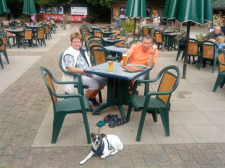 Blanding af racer chilli bean RIP - hygge efter lang tur i natur park tyskland billede 6