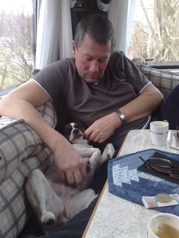 Blanding af racer chilli bean RIP - total hygge billede 19