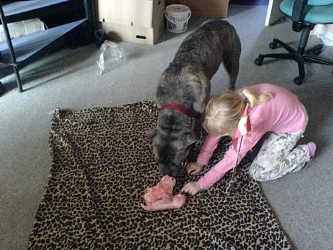 Blanding af racer Hoochie -  23/3-07. Når man har fødselsdag skal man jo osse ha en fødselsdagsgave billede 18