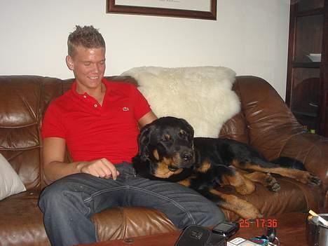 Rottweiler Spike - Far og "søn" :-) billede 6