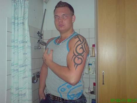 Amerikansk staffordshire terrier Pumba - Det så min ejermand billede 7