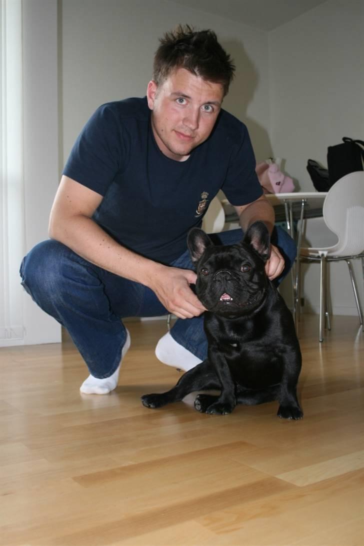 Fransk bulldog Adonis Kinibox [LOTUS] -  - Far og Mig billede 5