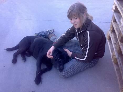 Labrador retriever Burre. aflivet d.27/04 09 - mig og burre udenfor billede 1