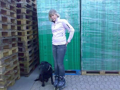 Labrador retriever Burre. aflivet d.27/04 09 - burre elske at stå på rulle skøjter med mig;D billede 2