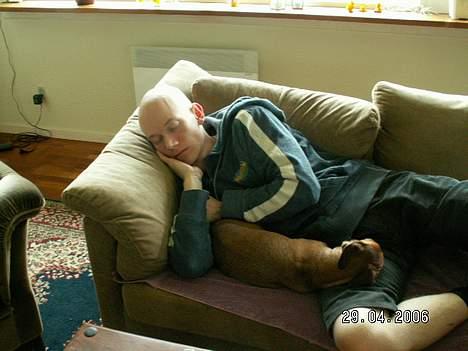 Gravhund Trisse - Det er hårdt at være væk fra far så nu må jeg heller passe på ham.. billede 15