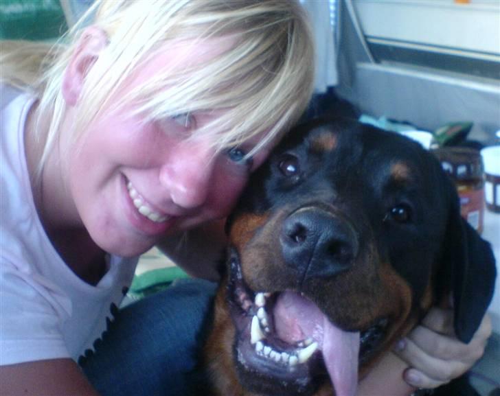 Rottweiler Darcho rip 16/10-09 - jeg elsker hende så meget.. hun og jeg er goeste venner.. (hun har maden) billede 6