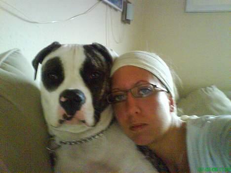 Amerikansk bulldog Aicha - mor  og mig hygger i sofaen for en gangs skyld billede 11