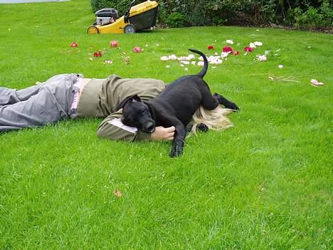 Blanding af racer Fie - Herligt endelig fik jeg styr på Simone billede 3