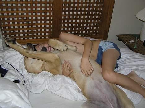 Blanding af racer Tilde - Godt Christian og jeg er alene hjemme, her må jeg nemlig ikke sove - men hvor er det dejligt :-) billede 2