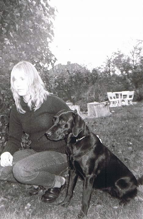 Labrador retriever Freja RIP billede 1
