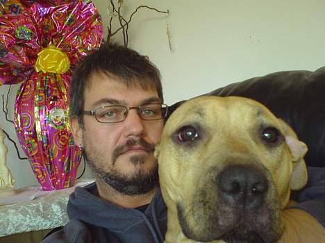 Amerikansk staffordshire terrier Gucci *Himmelhund* - far & mig  billede 2