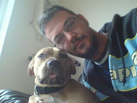 Amerikansk staffordshire terrier Gucci *Himmelhund* - far & mig igen billede 3