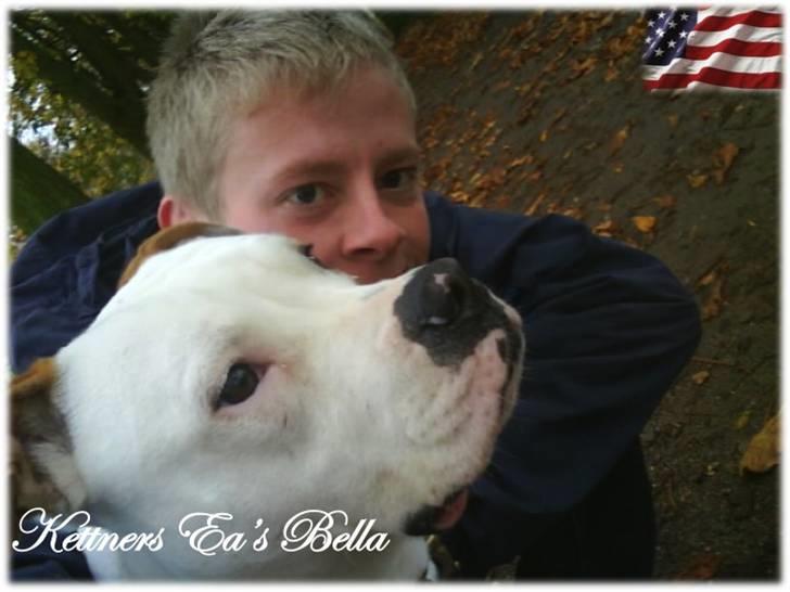 Amerikansk bulldog Kettners Ea´s Bella - Bella & jeg.. billede 12