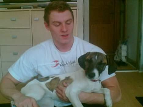 Blanding af racer Molly - Far med sin lille guldklump :) billede 1