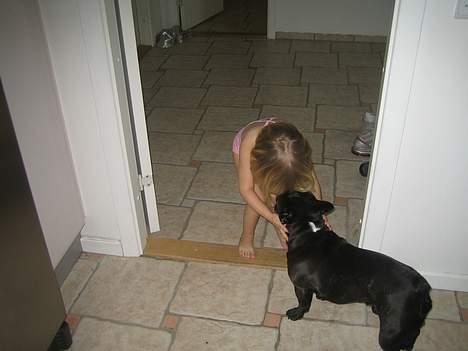 Fransk bulldog Axel - Mig og min største kærlighed =) billede 11