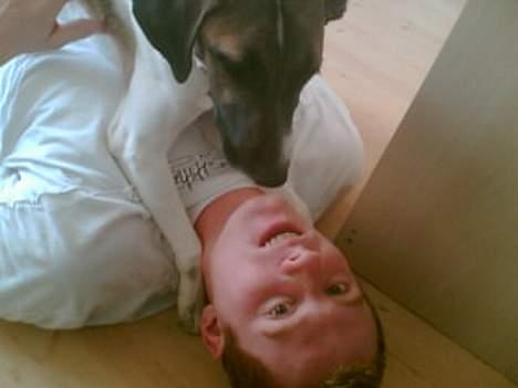 Blanding af racer Molly billede 5