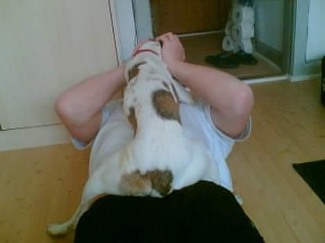 Blanding af racer Molly billede 6