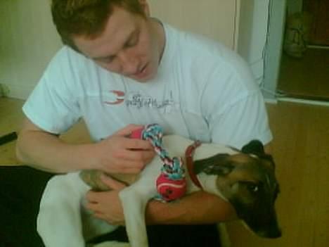 Blanding af racer Molly billede 7