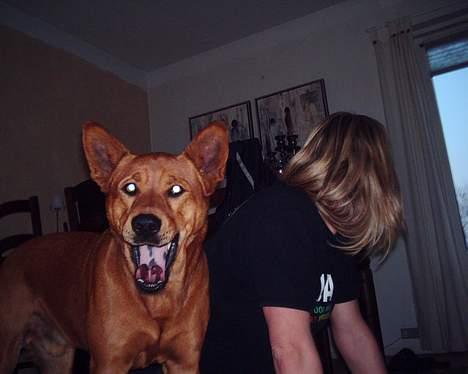 Blanding af racer thor - Uha mor kan ikke lide kameraet... hehe billede 12