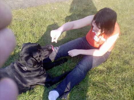 Labrador retriever Djack - Djack og mig træner med guf..  billede 12