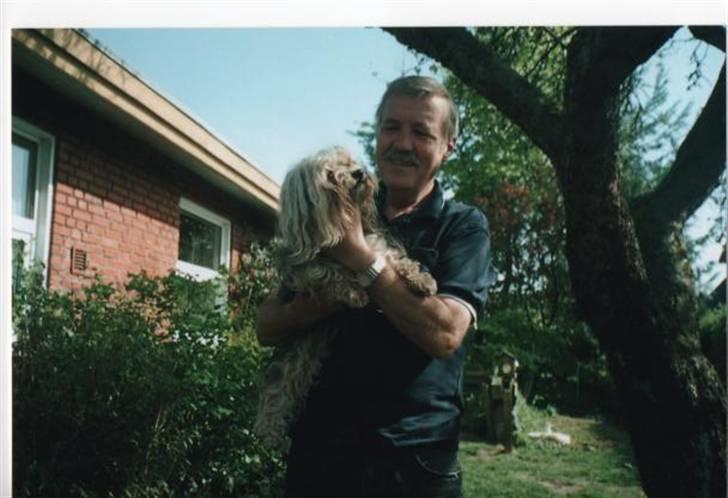 Bichon havanais Pepsi (død d.26/6-13) - Pepsi og far billede 19