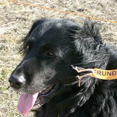 Blanding af racer Bobby