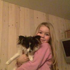 Papillon Patricia Petrine