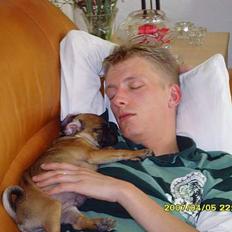 Blanding af racer Magnus