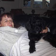 Blanding af racer bølle