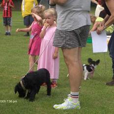 Blanding af racer bølle