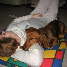 Gravhund Opalina's Maldini