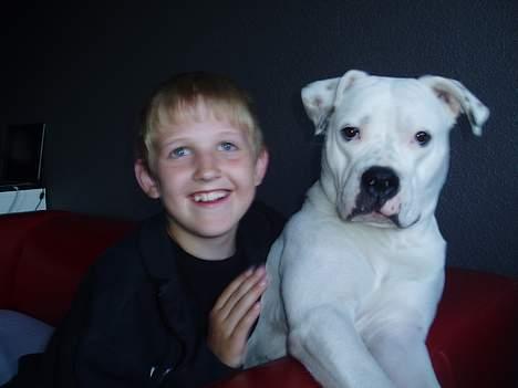 Amerikansk bulldog Coco - Lillebror Nick & Coco. billede 19