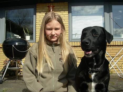 Labrador retriever Lucas - Camilla (lillesøster) og mig! <33 hun er bare dejlig billede 8