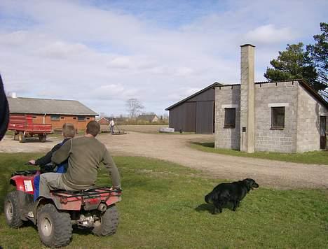 Blanding af racer Bobby - det her gider jeg ikke... jeg går... billede 8