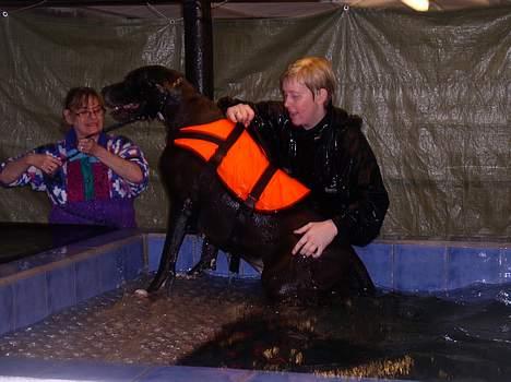 Grand danois Baby - puha det er altså ikke rigtig noget for mig det her billede 2