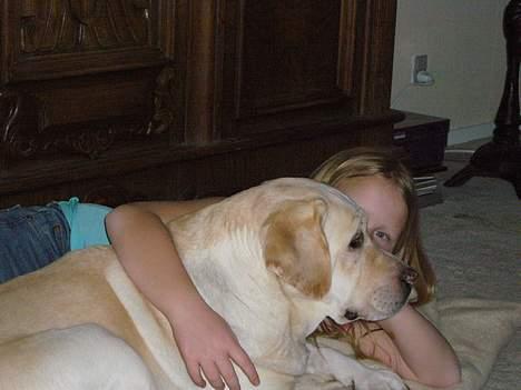 Labrador retriever Agnes - Janni og Agnes billede 6