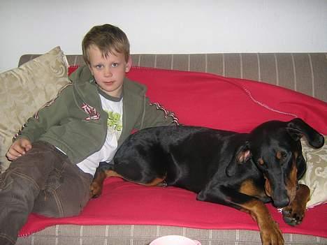 Dobermann Tempo - **NYT 8/4 - 07** Tempo &&´ Storebror til påskefrokost hos mormor billede 15