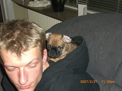 Blanding af racer Magnus - Op i far´s hat... billede 4